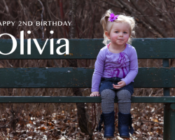 Celebrating Two Years of Olivia