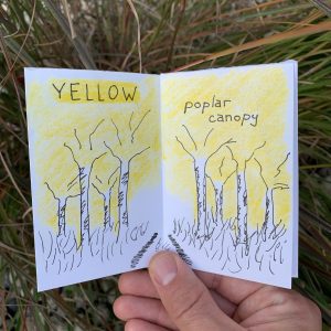 Primary Colours pg 2-3