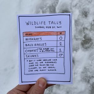 Wildlife tally
